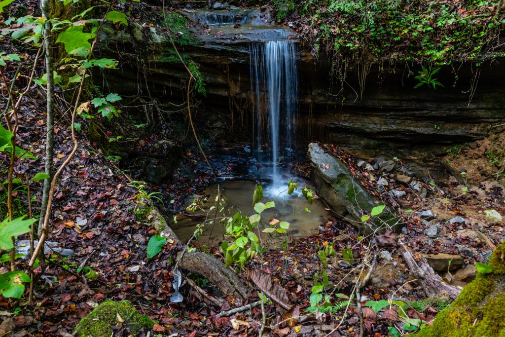 Bankhead National Forest Kinlock Falls